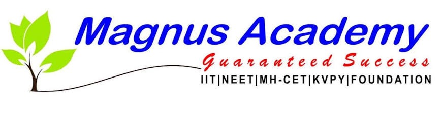 MAGNUS ACADEMY